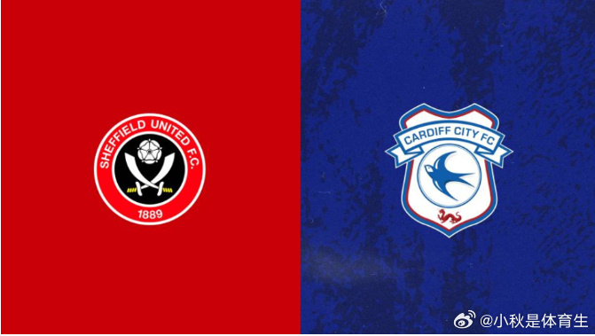 卡迪夫城客场失利,降级形势扑朔迷离 卡迪夫城客场失利,降级形势扑朔迷离