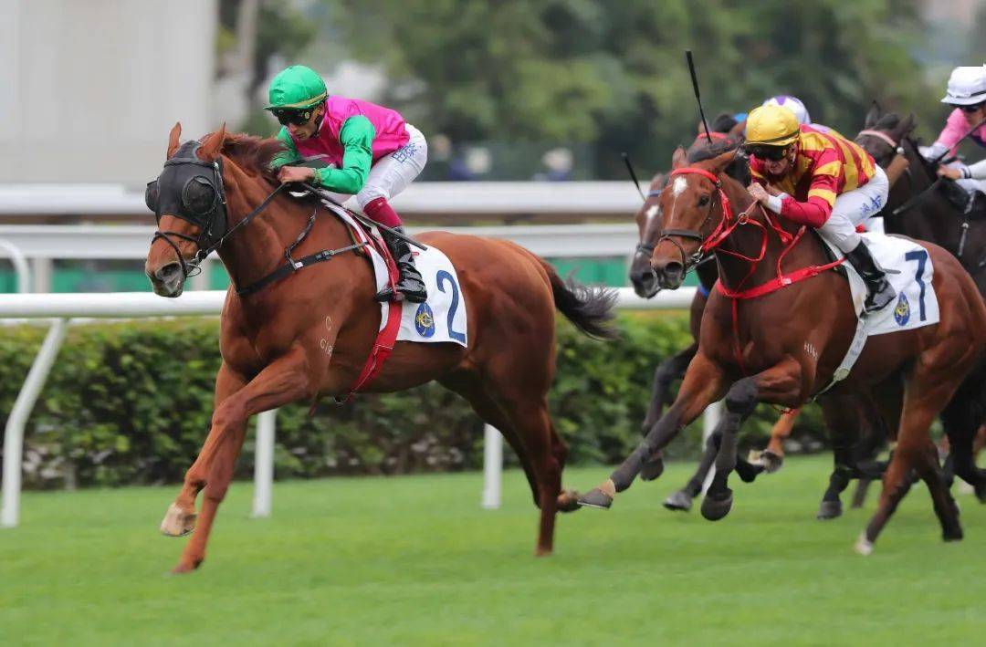 FB体育平台-西班牙选手突围摘得马术金牌